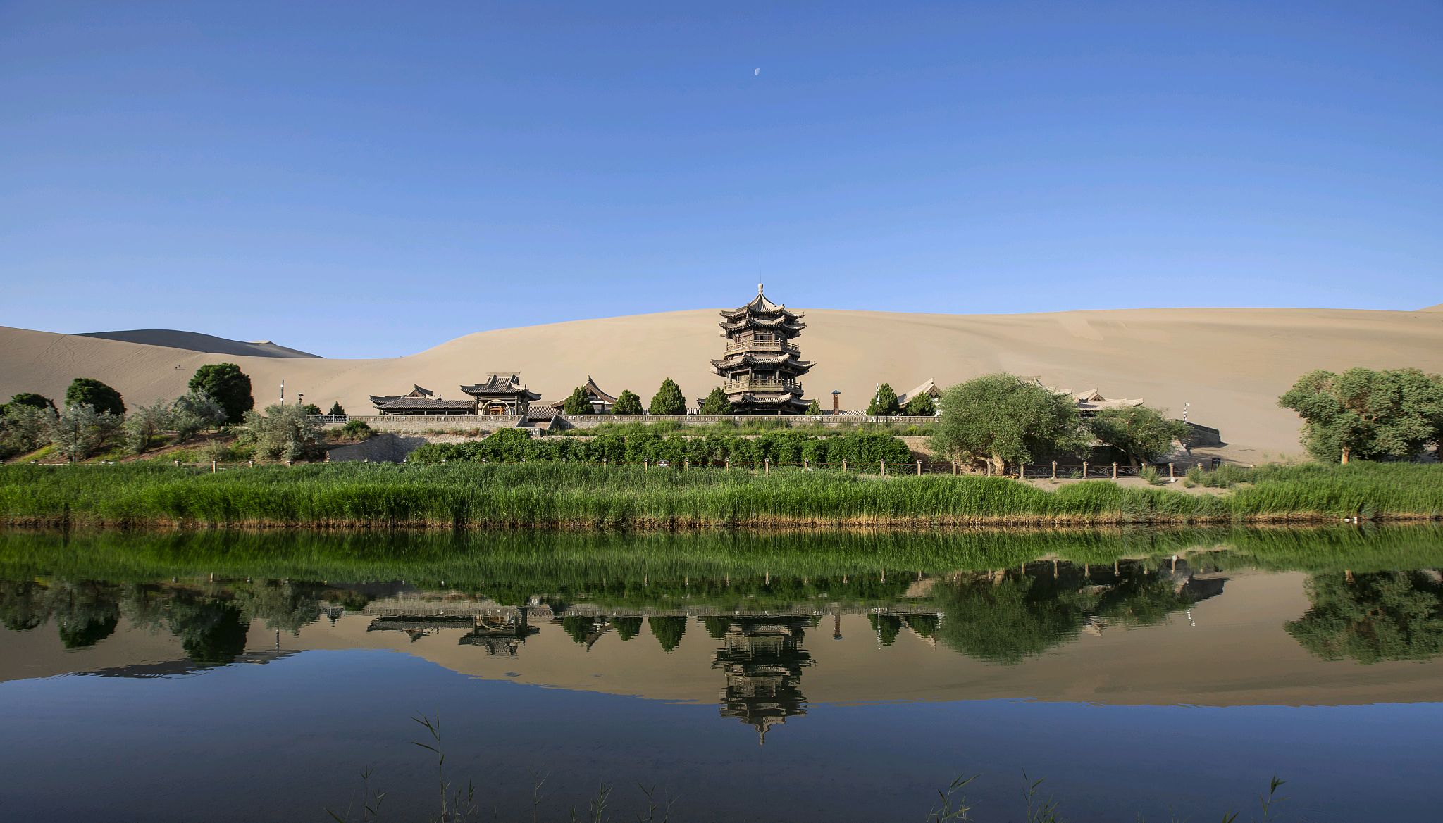 沙坡头绿洲 - 景区内植被与水源