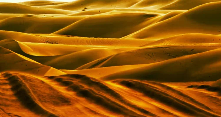 沙坡头滑沙体验 - 百米沙丘滑行